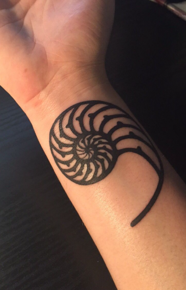 Desain spiral nautilus